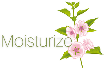 ilike Organics Moisturize Icon Row