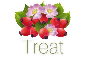 ilike Organics Icon Row Treat
